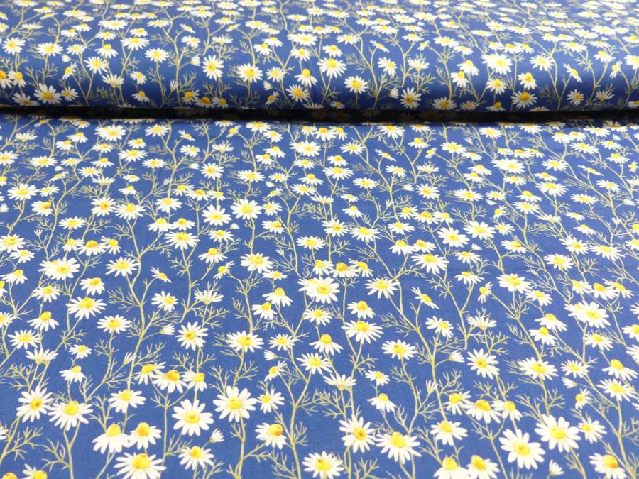 Preview: Hedgehog Hollow Blumen Gänseblümchen Daisies blau von In the Beginning